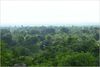 Above the canopy.jpg [228967 octets]